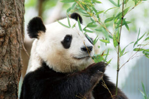 【若い力91号】神戸が誇る「王子動物園」&「須磨海浜水族園」