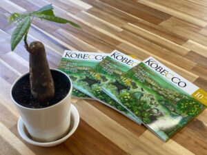 神戸っ子(KOBECCO)10月号に掲載していただきました。